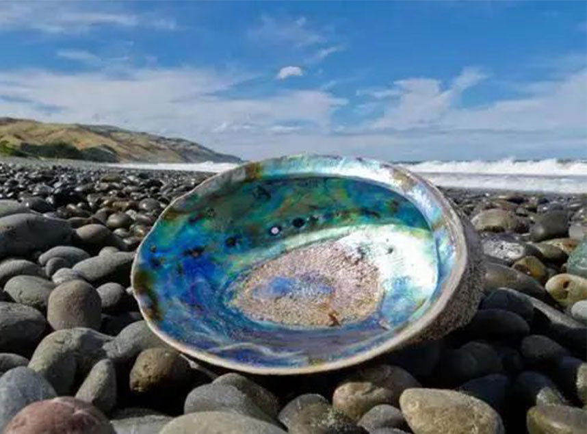 合成石廠家，電木板廠家，玻纖板廠家，隔熱板廠家，復合材料廠就，諾方斯